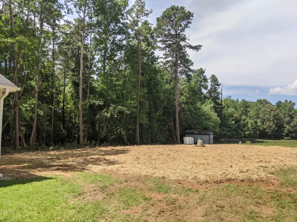 Completed lot clearing and ground preparation by JD TREE, LLC in a Greensboro NC backyard.