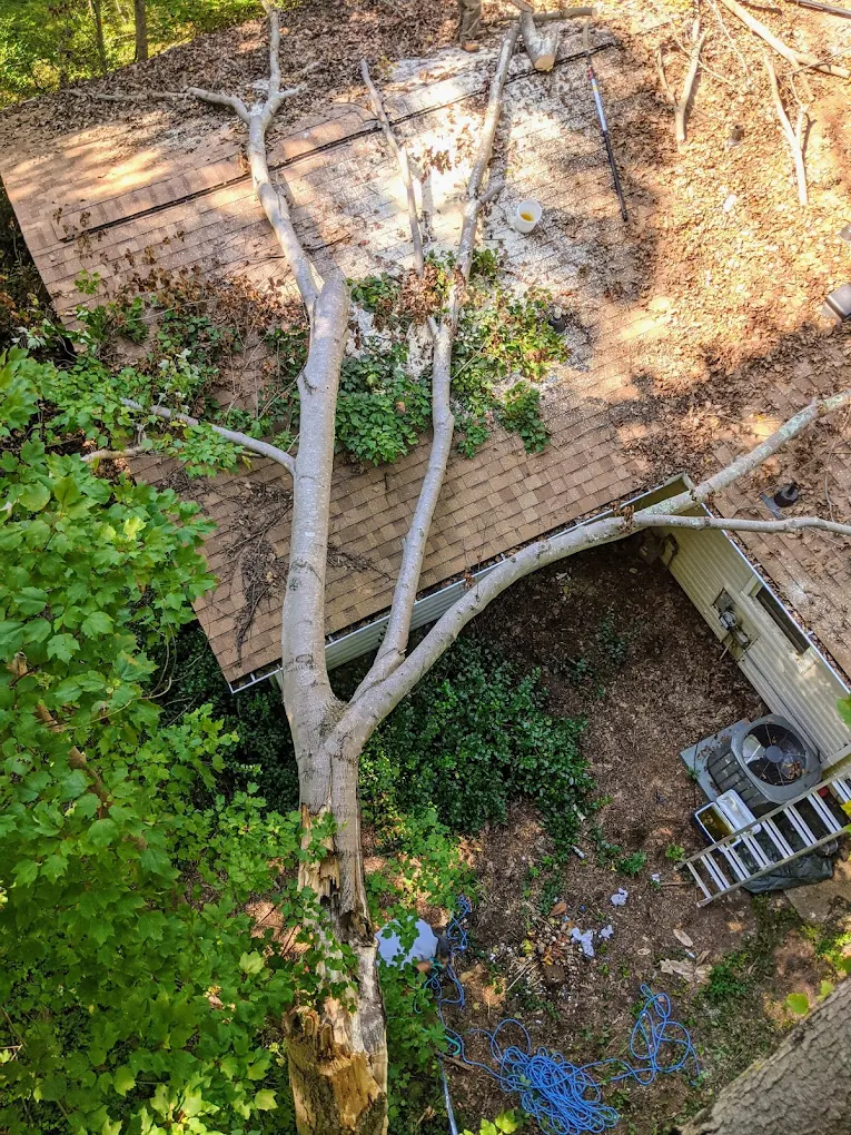 emergency tree removal being done by JD Tree LLC arborists.