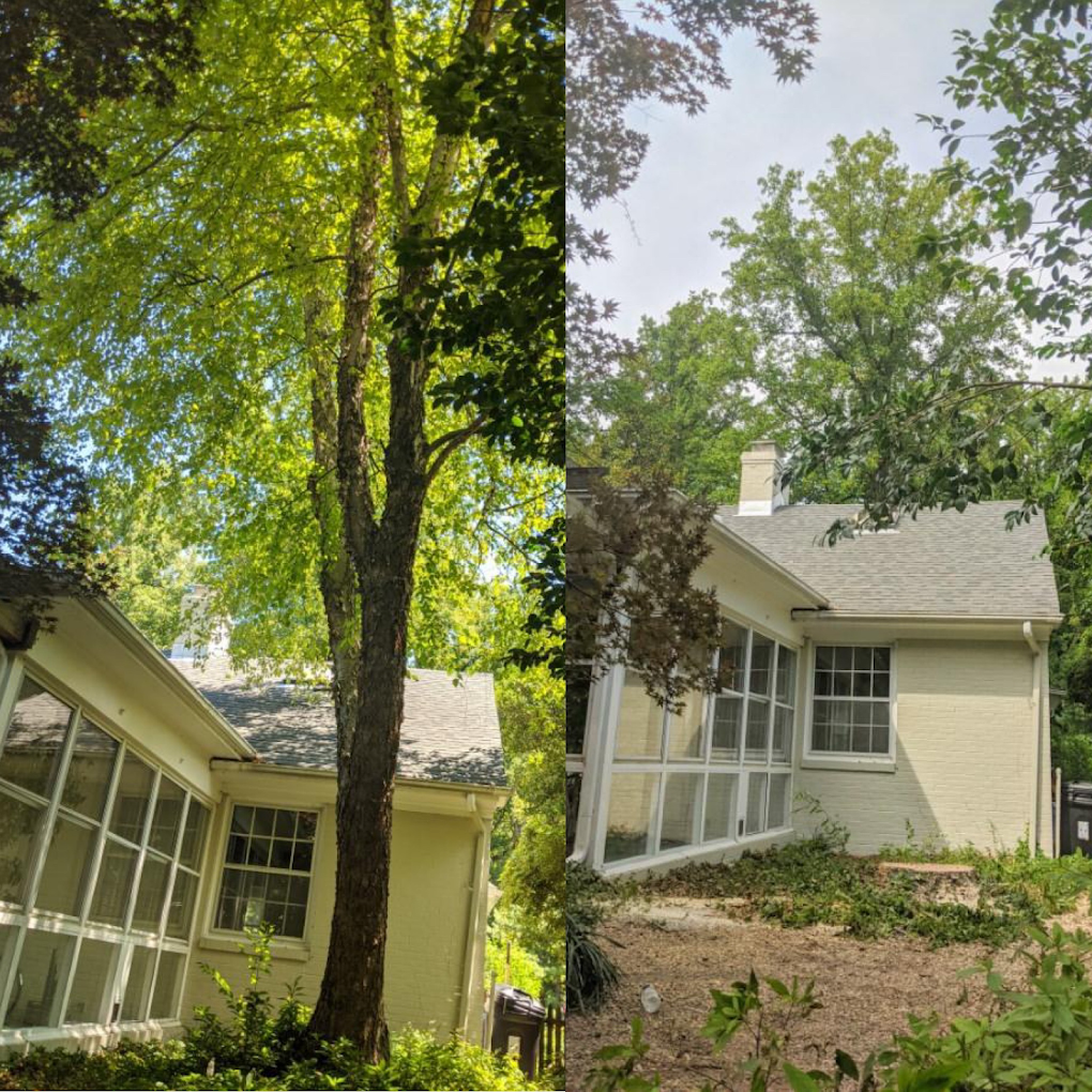Before and after tree removal next to a home sunroom in Greensboro NC by JD TREE, LLC.